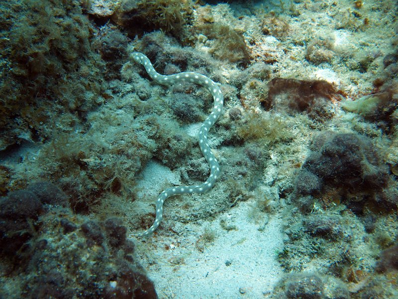 Curacao 04-12 228.JPG